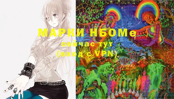 стафф Алзамай