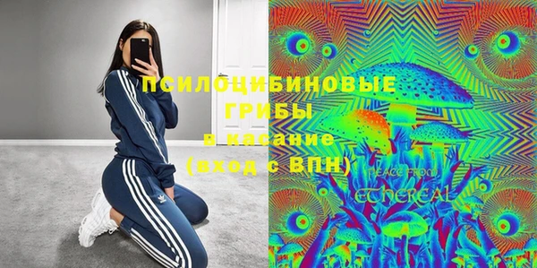 ALPHA PVP Алексин